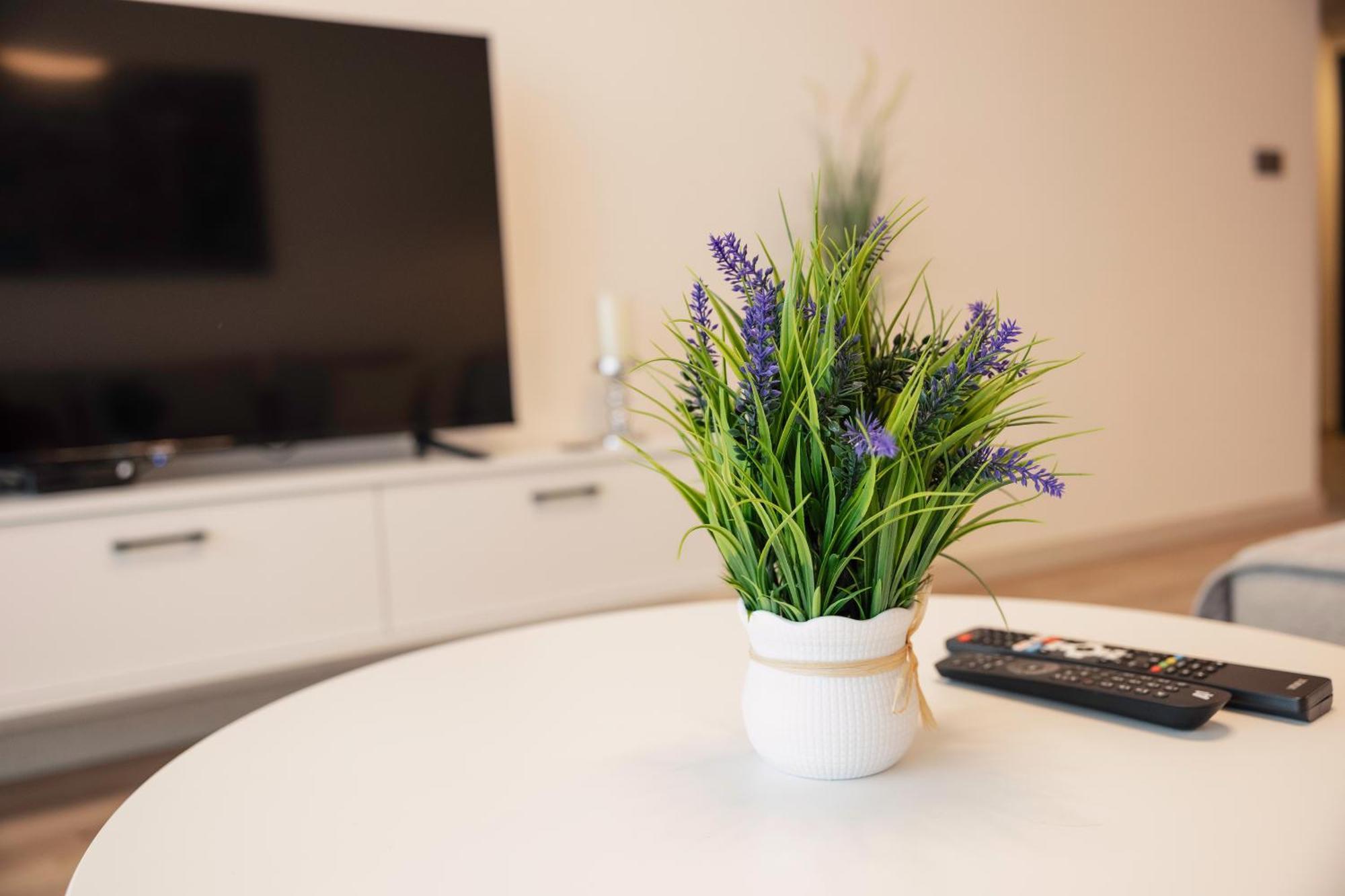 33Rd Floor Twin Apartments In Cevahir Sky City Complex With Pool, Spa, Fitness And Parking Included In Price Скопье Экстерьер фото